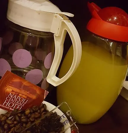 بيت ضيافة Bed & Breakfast Napoli Centrale نابولي